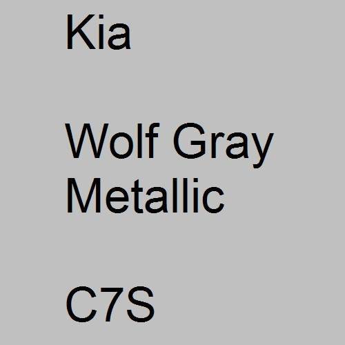 Kia, Wolf Gray Metallic, C7S.